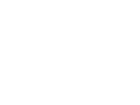 South London Skills Employment Alliance Logo